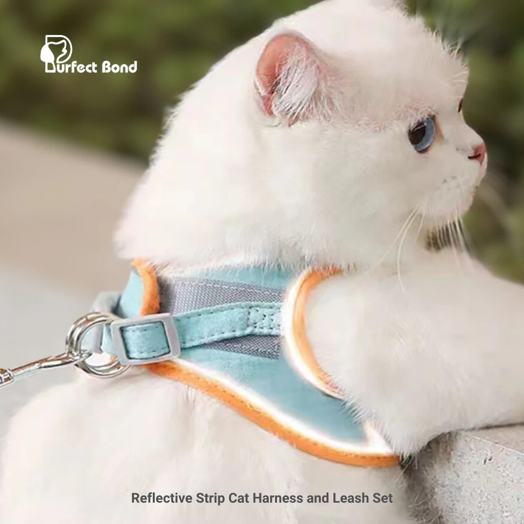 Reflective Strip Cat Harness and Leash Set, Escape Proof Safe Adjustable Kitten Vest Harnesses for Walking, Easy Control Soft Br 
Reflective Strip Cat Harness and Leash Set, Escape Proof Safe Adjustable Kitten Vest Harnesses for Walking, Easy Control Soft Br