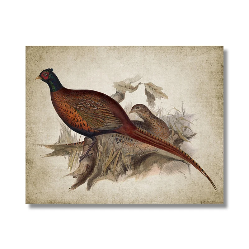 Художественный постер с фазаном dulike
Художественный постер с фазаном dulike