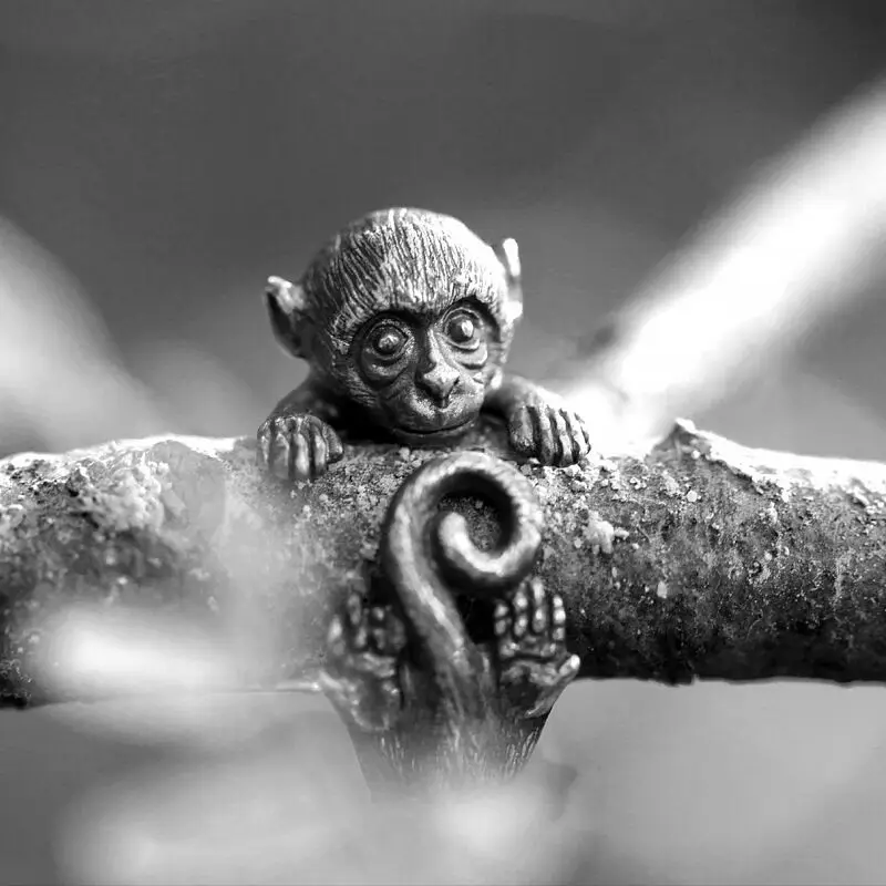Gothic Monkey Tiger Cat Lizard Dragon Animal Rings Opening Adjustable Ring for Men Women Vintage Punk Rings Unisex Jewelry
Gothic Monkey Tiger Cat Lizard Dragon Animal Rings Opening Adjustable Ring for Men Women Vintage Punk Rings Unisex Jewelry
