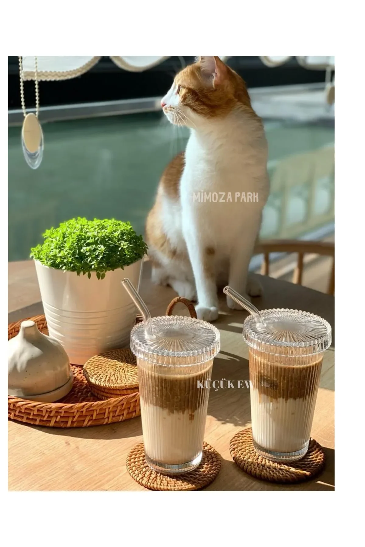 2 400 ml Origami Style Glass Cups With Glass Lid Pipette | Coffee And Presentation Cups | Soft Drink Cup Heat Resistant
2 400 ml Origami Style Glass Cups With Glass Lid Pipette | Coffee And Presentation Cups | Soft Drink Cup Heat Resistant