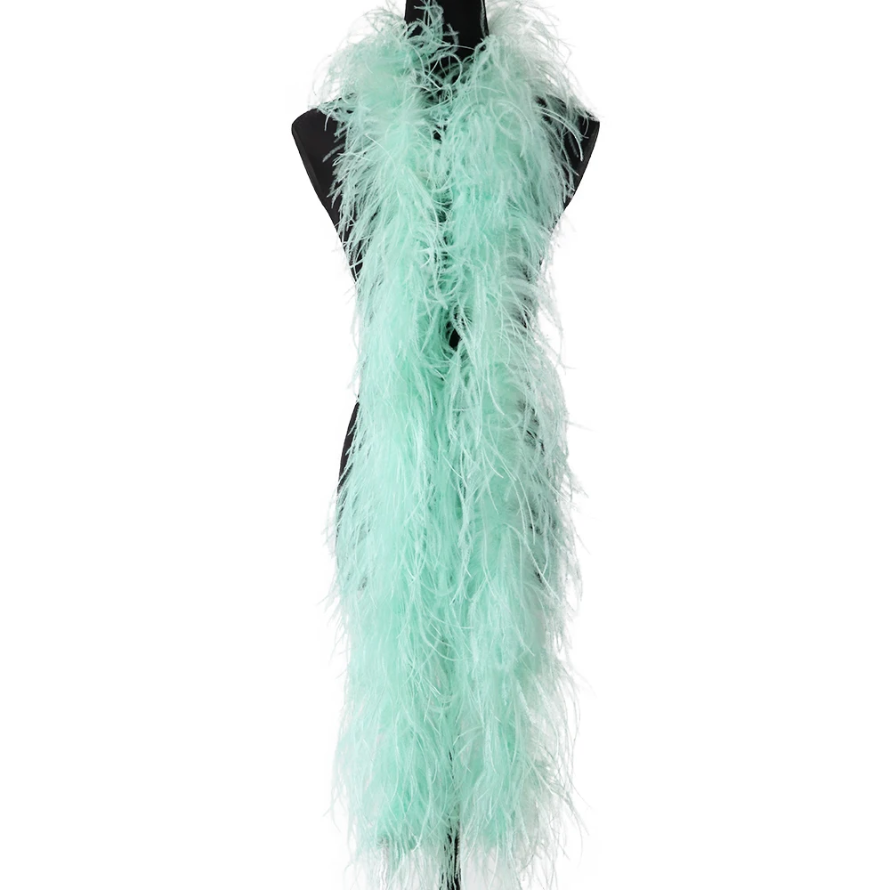 Customized Mint Ostrich Feather Boa 6ply Marabou Scarf Shawl 1M 2M Long Wedding Dress Party Skirt Decoration Accessories Crafts
Customized Mint Ostrich Feather Boa 6ply Marabou Scarf Shawl 1M 2M Long Wedding Dress Party Skirt Decoration Accessories Crafts