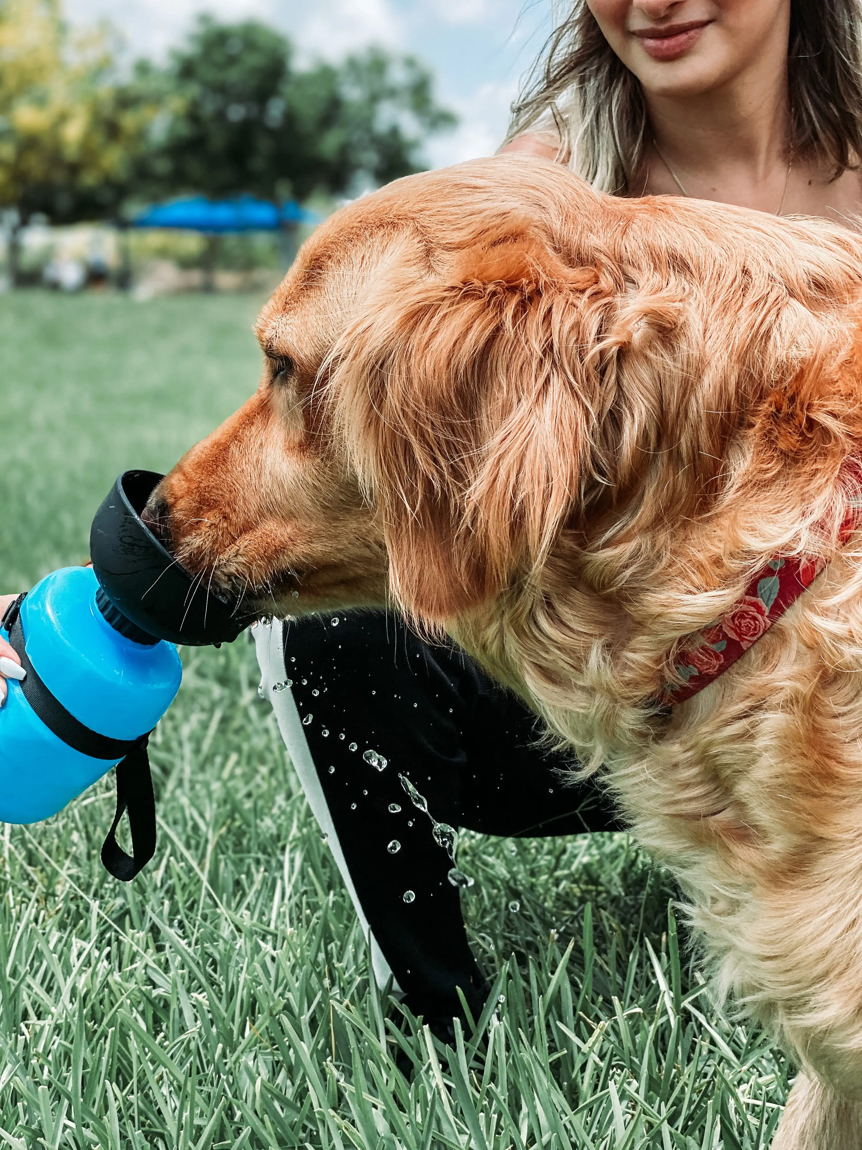 Pet Water Bottle for Dogs,Dog Travel Water Bottle,Upgraded 2 in 1 Drinking Cup Dispenser for Pets,with 2 Collapsible Pet Bowls
Pet Water Bottle for Dogs,Dog Travel Water Bottle,Upgraded 2 in 1 Drinking Cup Dispenser for Pets,with 2 Collapsible Pet Bowls