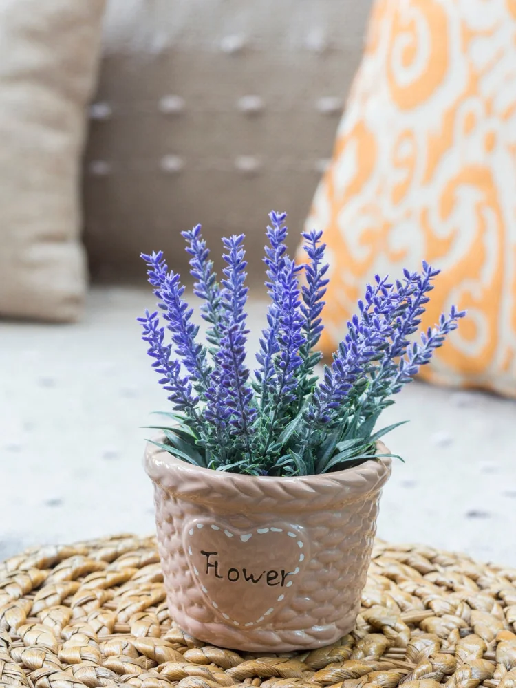 Country Style Purple Artificial Lavender In Pots With Basket Artificial Flower Home Decor Home Accessory Wedding Mariage Flores Artificiales
Country Style Purple Artificial Lavender In Pots With Basket Artificial Flower Home Decor Home Accessory Wedding Mariage Flores Artificiales