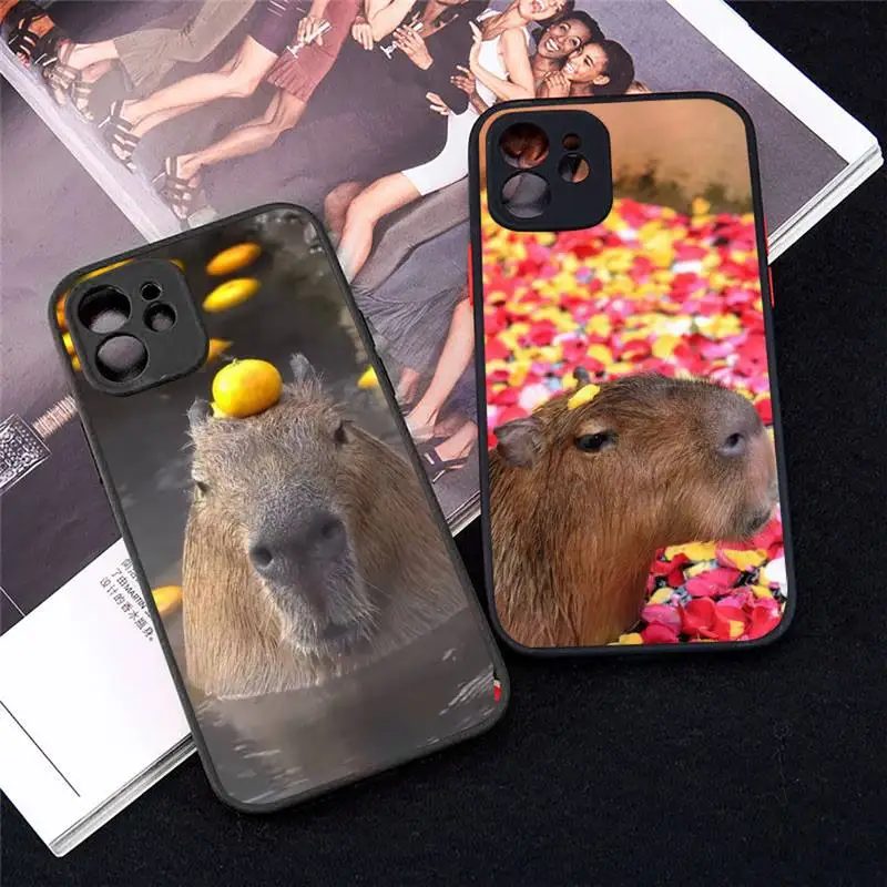 Capybara lovely animal Phone Case matte transparent For iphone 14 11 12 13 mini x xs xr pro max plus cute capibara cover
Capybara lovely animal Phone Case matte transparent For iphone 14 11 12 13 mini x xs xr pro max plus cute capibara cover