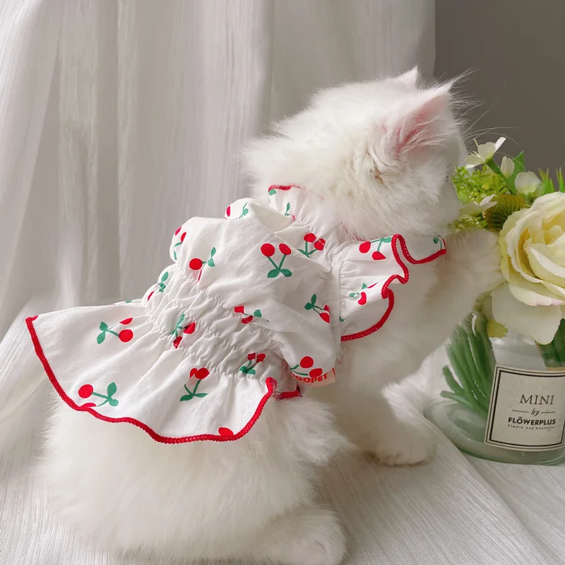 Summer Cooling Cat Cute Dress Breathable Cat Clothing for Small Cat Cartoon Pattern Clothes Kitten Decoration Accessories
Summer Cooling Cat Cute Dress Breathable Cat Clothing for Small Cat Cartoon Pattern Clothes Kitten Decoration Accessories