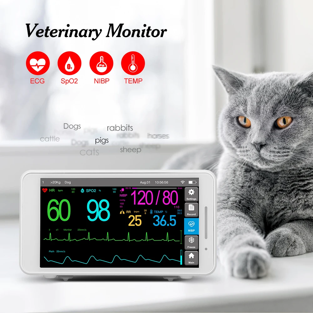 SINOHERO SV1 ICU CCU Veterinary Monitor 5.5" Touch LCD Display ECG RESP SpO2 PR NIBP Muliti-Parameters Vital Signs Monitor
SINOHERO SV1 ICU CCU Veterinary Monitor 5.5" Touch LCD Display ECG RESP SpO2 PR NIBP Muliti-Parameters Vital Signs Monitor
