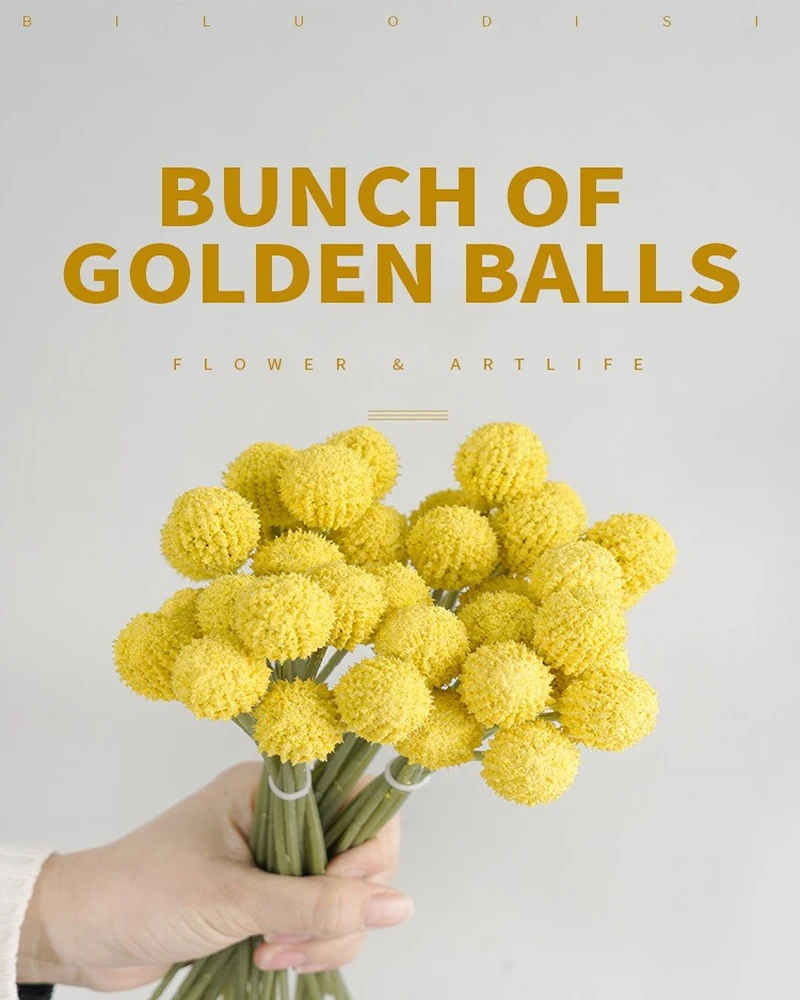 Simulation Hand Tied Gold Ball Holding Bouquet Living Room Decoration Bouquet Character Product Photography Props
Simulation Hand Tied Gold Ball Holding Bouquet Living Room Decoration Bouquet Character Product Photography Props