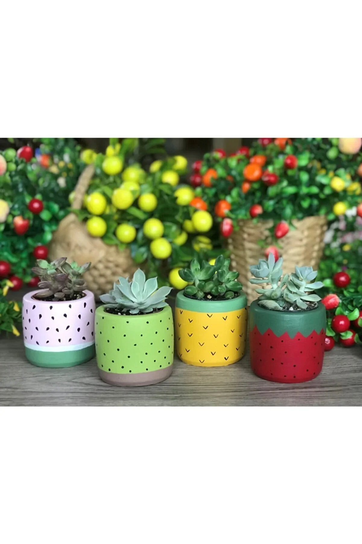 

Vanilla Succulent and Cactus Pot Set of 4 Flowerless Tutti Frutti Fruits, Home Decoration