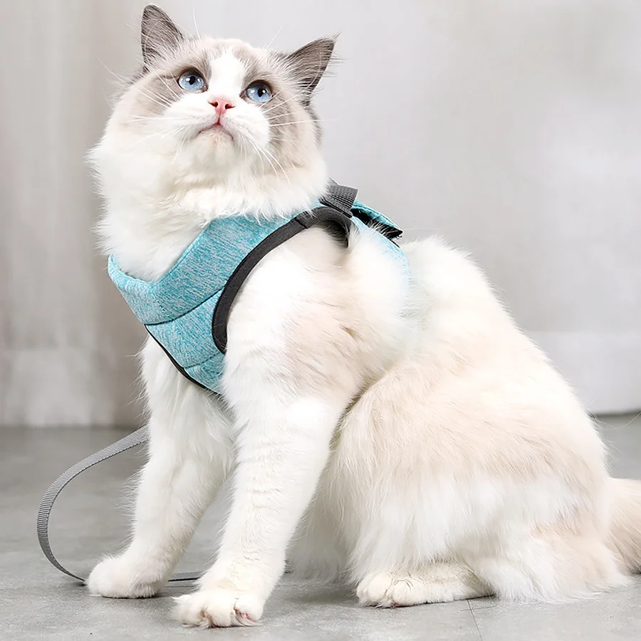 Cat Harness Go Out Small Cat and Dog Vest Harness with Reflective Strap Soft Mesh Adjustable Cat Walking Jacket for Kitten
Cat Harness Go Out Small Cat and Dog Vest Harness with Reflective Strap Soft Mesh Adjustable Cat Walking Jacket for Kitten