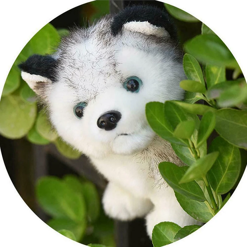 Husky Dog Plush Doll Cute Stuffed Simulation Toys for Boys and Girls High Quality Safe Baby Velvet Husky Doll Gifts 20cm
Husky Dog Plush Doll Cute Stuffed Simulation Toys for Boys and Girls High Quality Safe Baby Velvet Husky Doll Gifts 20cm