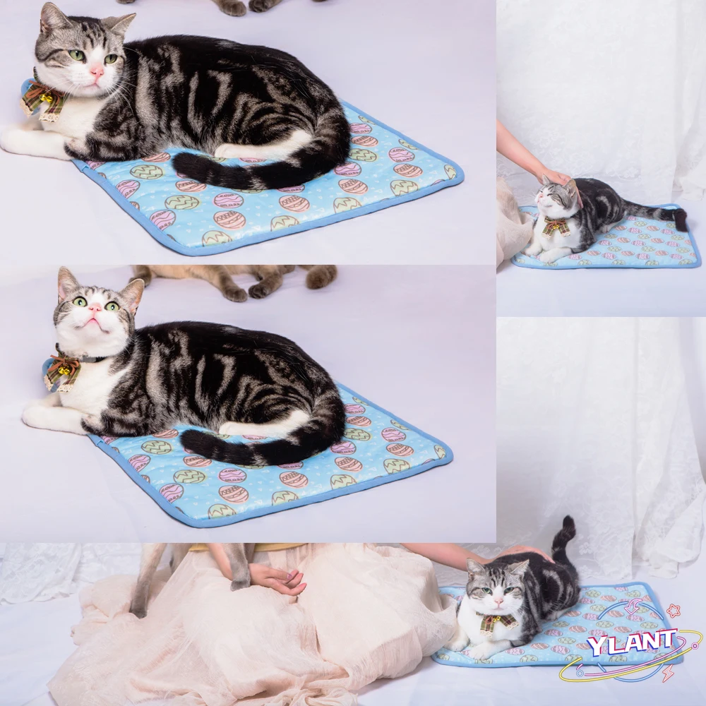 SWT Pet Accessories Summer Cooling Mats Blanket Ice Pet Dog Bed Mats For Dogs Cats Sofa Portable Tour Camping Yoga Sleeping
SWT Pet Accessories Summer Cooling Mats Blanket Ice Pet Dog Bed Mats For Dogs Cats Sofa Portable Tour Camping Yoga Sleeping