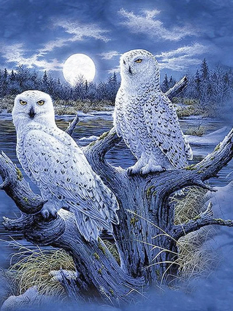 Diamond Painting Kits Full Round With AB Drill Animals Owl Embroidery Crystal Cross Stitch Kit Cartoon Rhinestone Pictures Decor
Diamond Painting Kits Full Round With AB Drill Animals Owl Embroidery Crystal Cross Stitch Kit Cartoon Rhinestone Pictures Decor