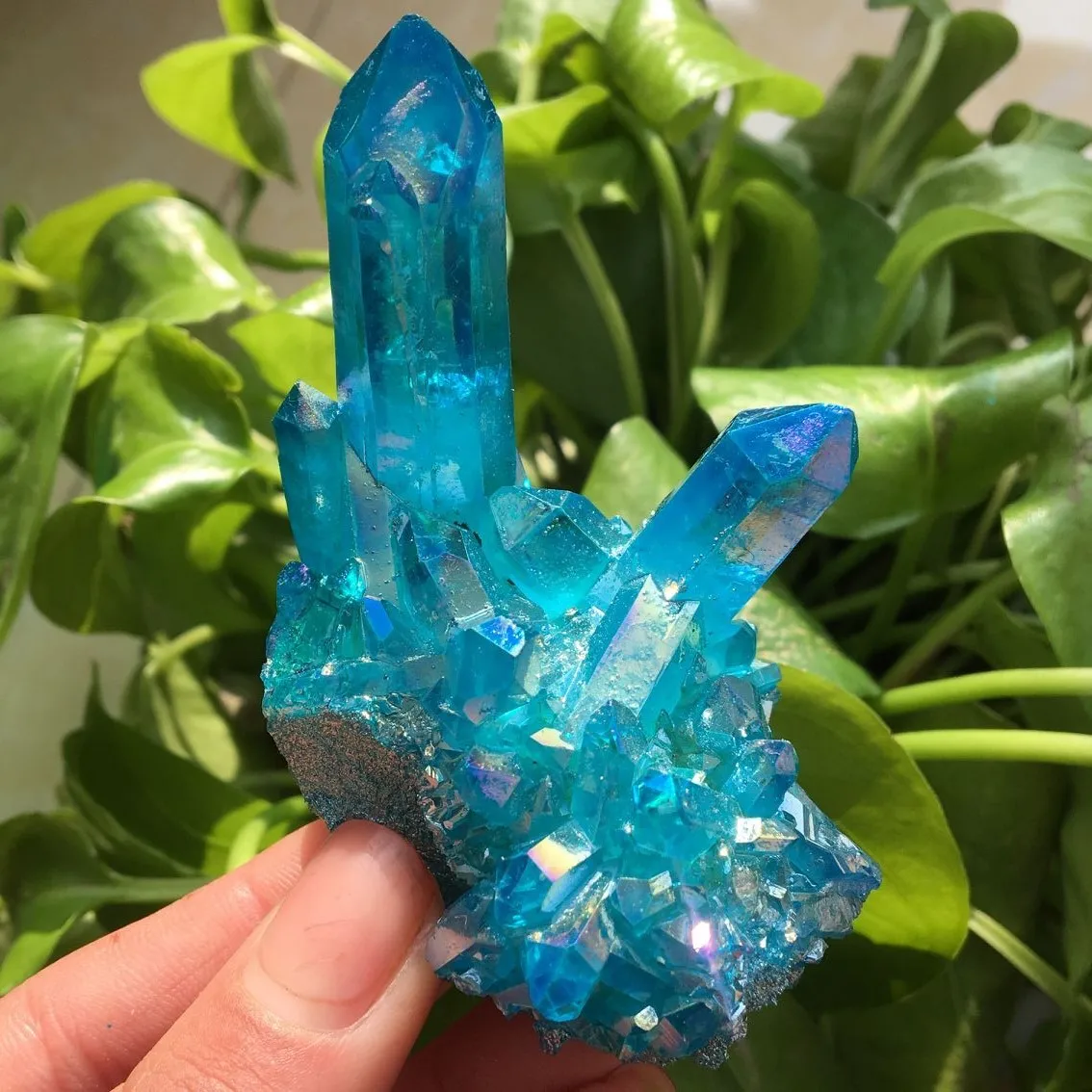 Beautiful Aura Angel Quartz Cluster Natural Plating Color Healing Crystal Cluster For Wedding Decoration
Beautiful Aura Angel Quartz Cluster Natural Plating Color Healing Crystal Cluster For Wedding Decoration