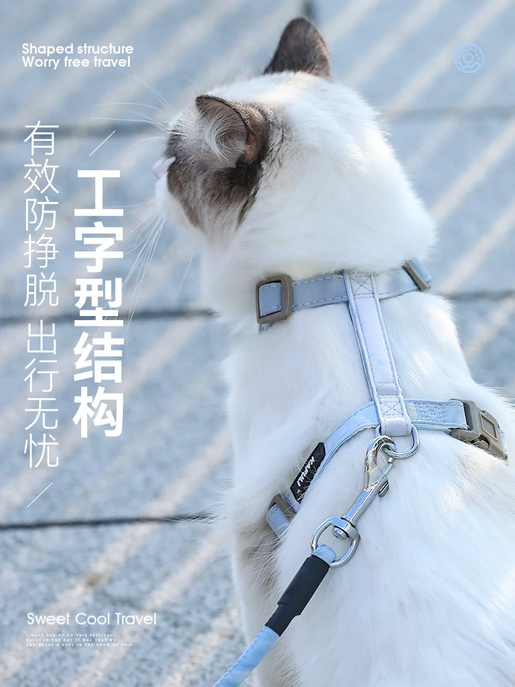 Трос для кошек, трос для прогулок, трос для кошек с защитой от разрывов, трос для кошек, трос для прогулок с котом, цепочка для предотвращения ...
Трос для кошек, трос для прогулок, трос для кошек с защитой от разрывов, трос для кошек, трос для прогулок с котом, цепочка для предотвращения ...