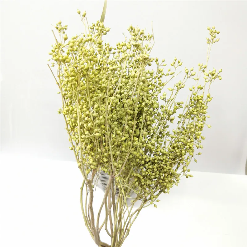 Natural Eucalyptus Dry Small Fruits Branch Globulus Millet Claw-Shaped Flower Bouquet For Home Easter Decorations
Natural Eucalyptus Dry Small Fruits Branch Globulus Millet Claw-Shaped Flower Bouquet For Home Easter Decorations