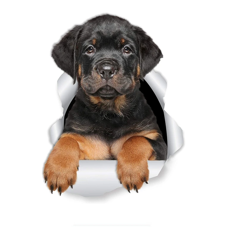 Cute dog car stickers auto motorcycle accessories interior exterior decorative fun polyethylene decals
Cute dog car stickers auto motorcycle accessories interior exterior decorative fun polyethylene decals