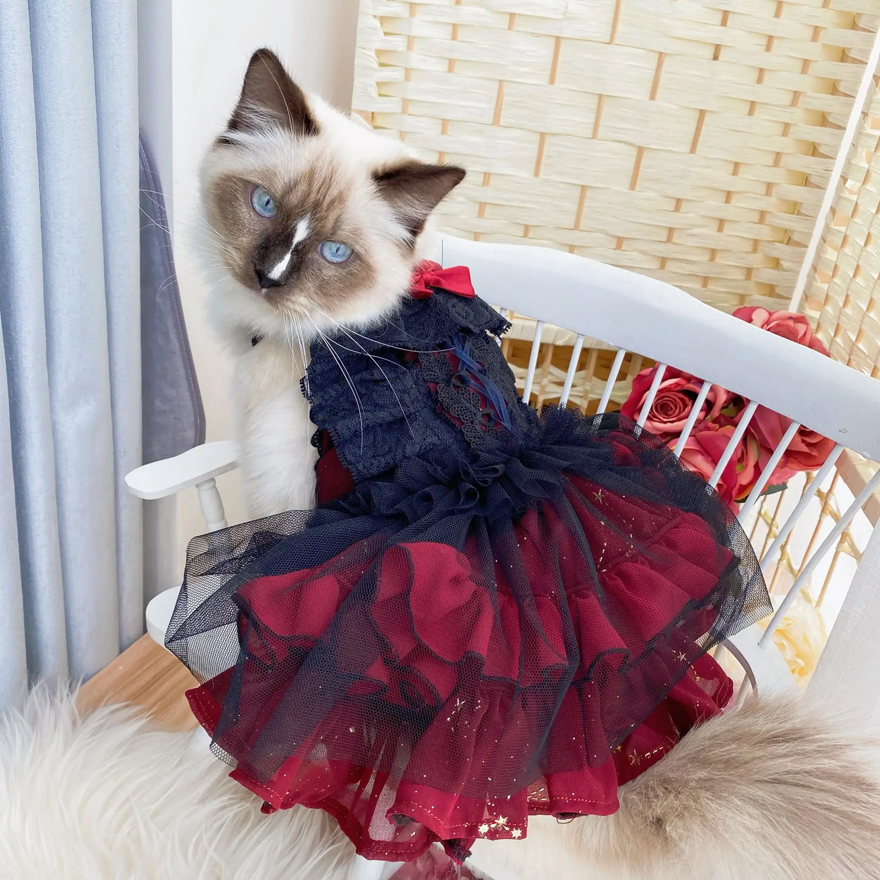 British Shorthair Felinae Dress American Shorthair Clothing Dresscat Dog Rabbit Pet Wedding Princess Dress Dog Skirts Puppy
British Shorthair Felinae Dress American Shorthair Clothing Dresscat Dog Rabbit Pet Wedding Princess Dress Dog Skirts Puppy