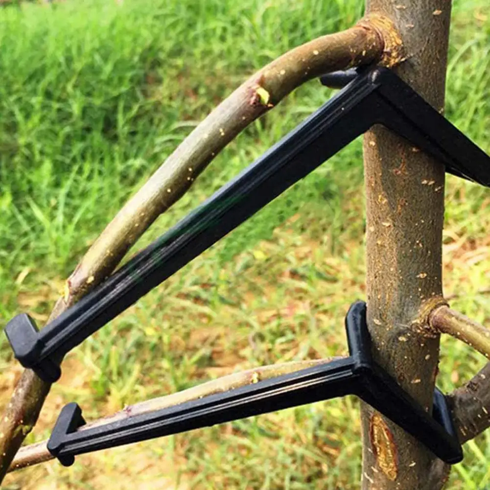 25pcs Fruit Branch Spreader ABS Tree Branch Support Frame For Strong Branch Growth Prevent Drooping Of Young Shoots
25pcs Fruit Branch Spreader ABS Tree Branch Support Frame For Strong Branch Growth Prevent Drooping Of Young Shoots