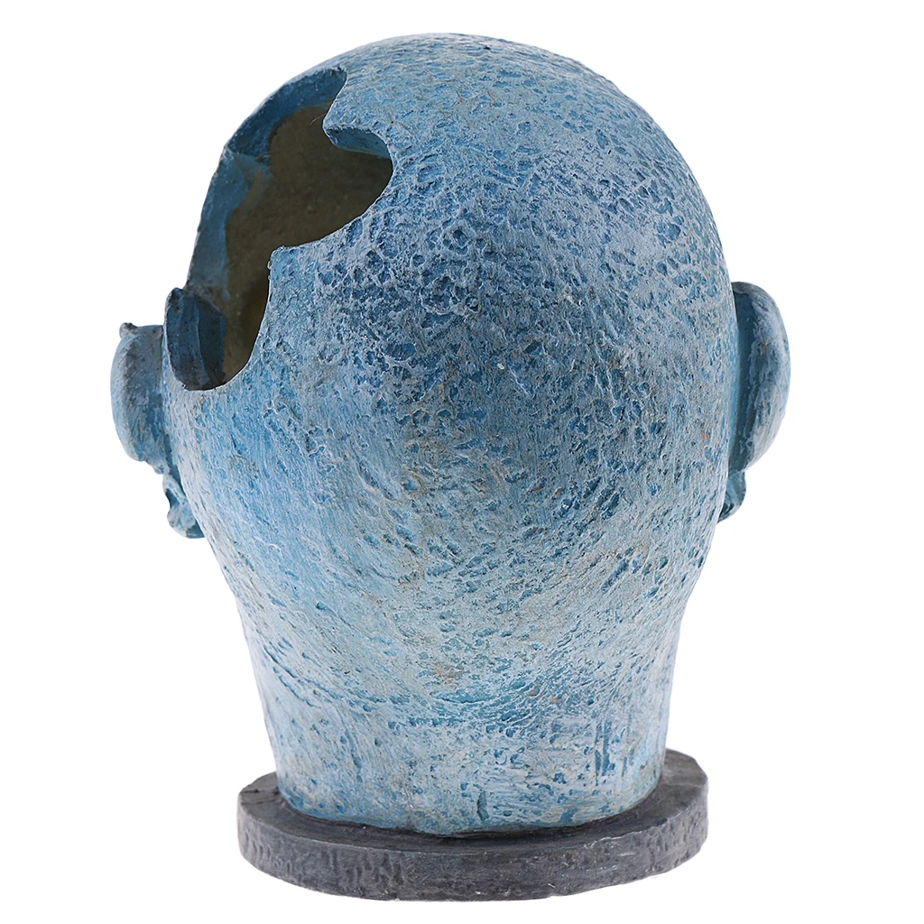 Exqusite Resin Skull Model Miniature Blue for House Diorama Scenery Layout Accessory 3.15inch
Exqusite Resin Skull Model Miniature Blue for House Diorama Scenery Layout Accessory 3.15inch