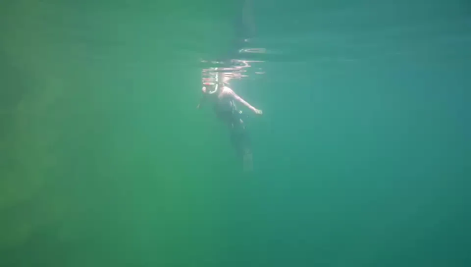 Wearable underwater scooter diving aqua Fast, safe and easy sea underwater propulsion / watersports / scuba diving / snorkeling
Wearable underwater scooter diving aqua Fast, safe and easy sea underwater propulsion / watersports / scuba diving / snorkeling