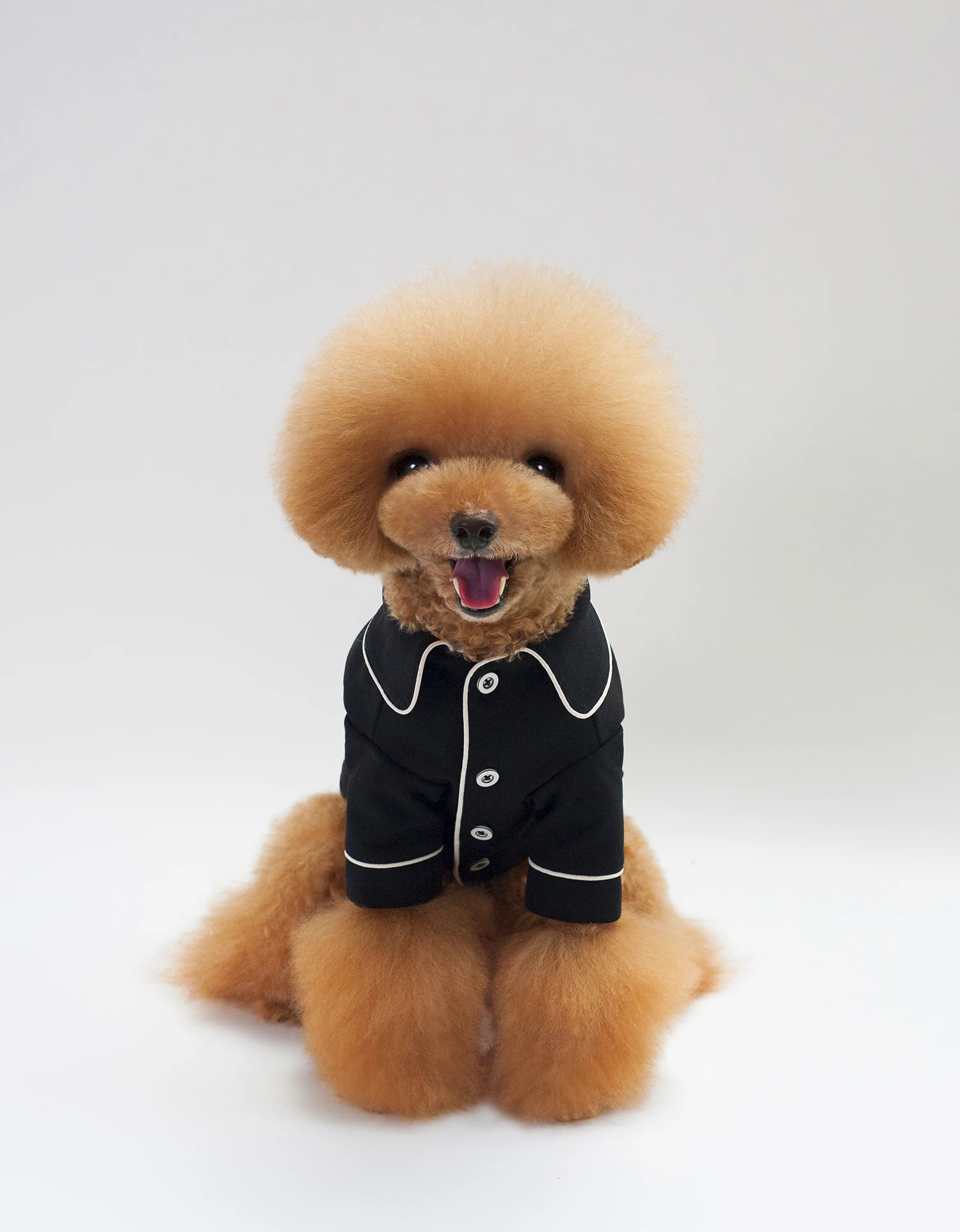 Dog Coat Clothes Autumn Sweet Pet Suit Dog Costume Teddy Terrier Bichon Chihuahua Pet Clothing Puppy Suit
Dog Coat Clothes Autumn Sweet Pet Suit Dog Costume Teddy Terrier Bichon Chihuahua Pet Clothing Puppy Suit