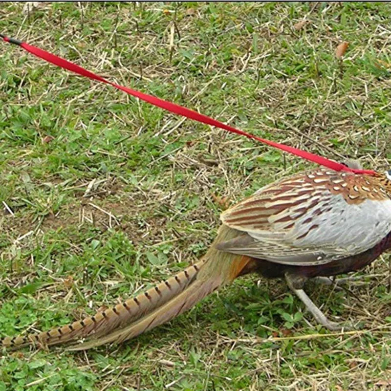 Pet Bird Harness and Leash,Adjustable Parrot Bird Harness Leash - Pet Anti-Bite Training Rope Outdoor Flying Harness and Leash
Pet Bird Harness and Leash,Adjustable Parrot Bird Harness Leash - Pet Anti-Bite Training Rope Outdoor Flying Harness and Leash