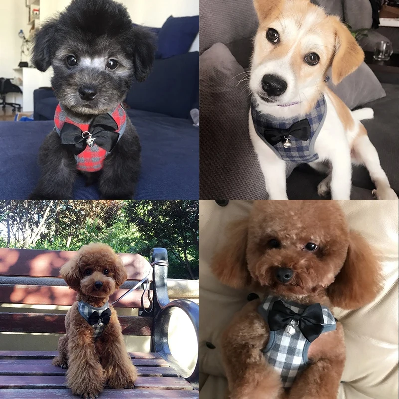 Pet Dog Supplies, Pet Chest Belt Collar Traction Rope For Dogs,Dog Clothes Harnesses & Leads
Pet Dog Supplies, Pet Chest Belt Collar Traction Rope For Dogs,Dog Clothes Harnesses & Leads