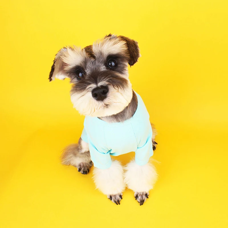 Dog T-shirt Designer Dog Clothes Dog Shirts for Small Dogs Summer Schnauzer Cotton French Bulldog Costume Dropshipping ZY7019
Dog T-shirt Designer Dog Clothes Dog Shirts for Small Dogs Summer Schnauzer Cotton French Bulldog Costume Dropshipping ZY7019