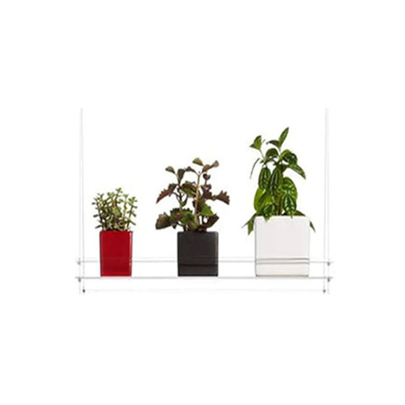 Newly Clear Hanging Window Plant Shelves 1/2/3 Tiers Window-mounted Plants Stand for Indoor Planter Succulents Flowers
Newly Clear Hanging Window Plant Shelves 1/2/3 Tiers Window-mounted Plants Stand for Indoor Planter Succulents Flowers