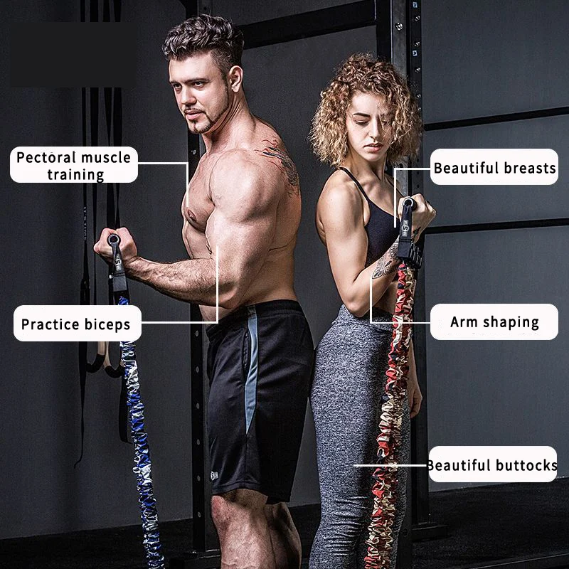 2021 portable chest expander with multi-function adjustable chest muscle tension band training
2021 portable chest expander with multi-function adjustable chest muscle tension band training