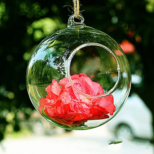 Nayachic 6pcs 6/8/10cm Cute Hot Transparent Glass Globes With 1 Hole Hanging Terrarium Vase Party Home Decoration New Year
Nayachic 6pcs 6/8/10cm Cute Hot Transparent Glass Globes With 1 Hole Hanging Terrarium Vase Party Home Decoration New Year