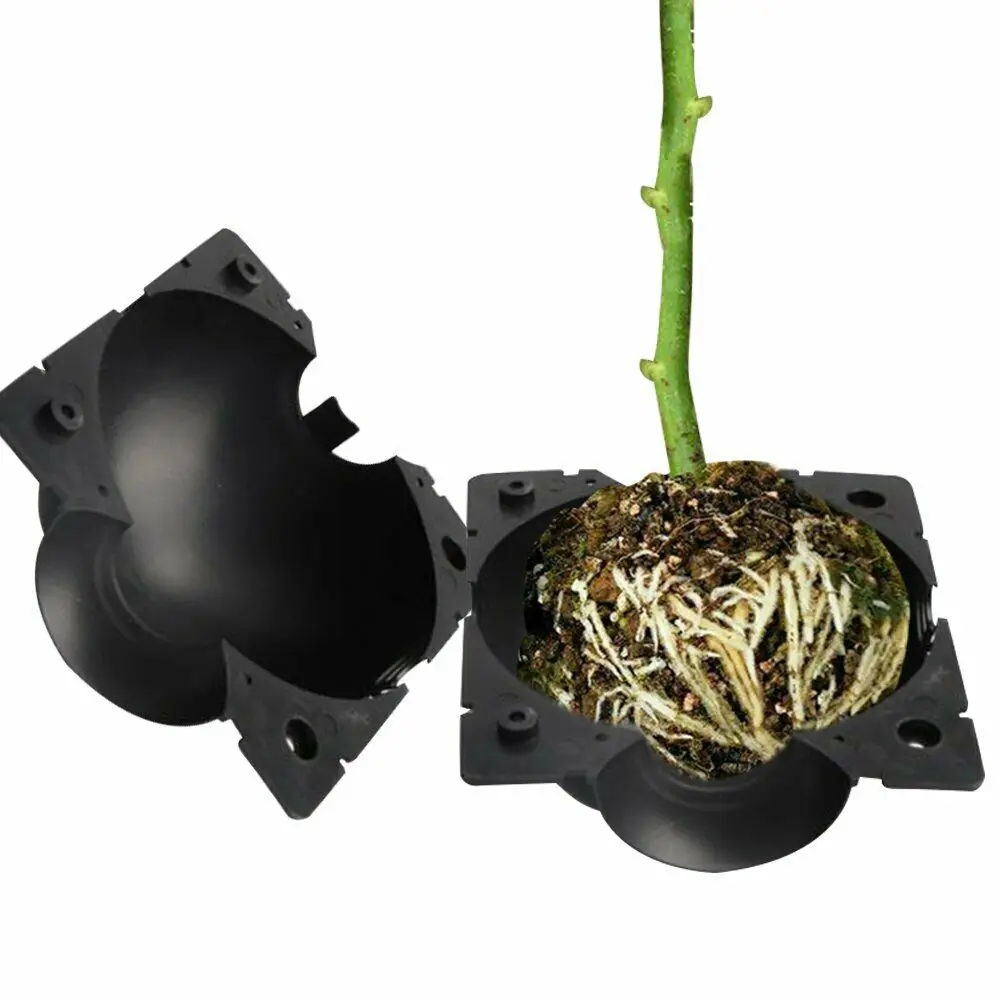 Устройство для укоренения растений устройство высокого давления 3 размера | Дом и