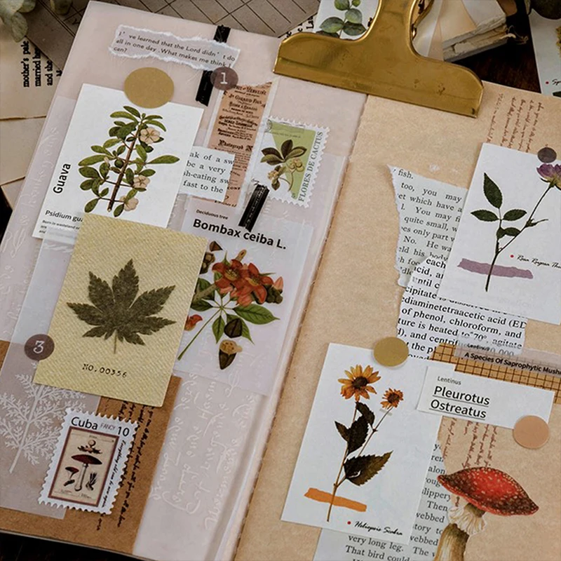 80 Retro Plant Paper Stickers Retro Planner Paper Sticker Material Decor Sticky
80 Retro Plant Paper Stickers Retro Planner Paper Sticker Material Decor Sticky