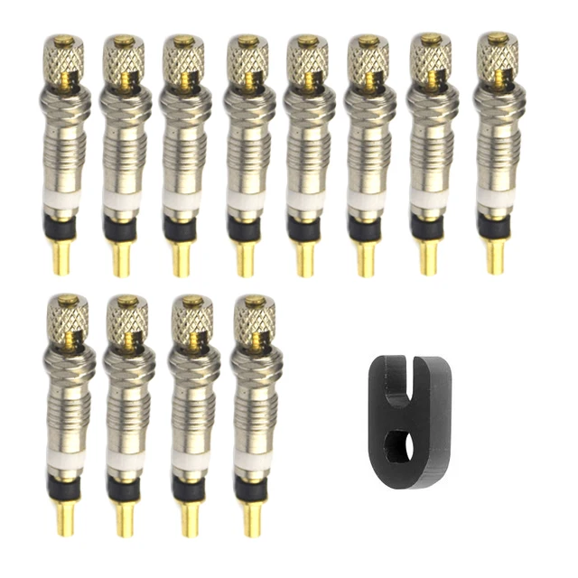 2/6/12PCS Presta Valve Bicycle Tyre Bike Tire Valve Cores+ Valve Core Removal Tool Bike Tire Valve Cores
2/6/12PCS Presta Valve Bicycle Tyre Bike Tire Valve Cores+ Valve Core Removal Tool Bike Tire Valve Cores
