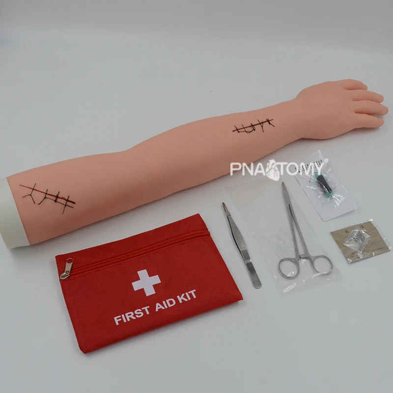 Surgical Suture Arm Model Suture Skin Kit Pad Human Arm Anatomical Model Manikin Medical Sciences Educational Equipment
Surgical Suture Arm Model Suture Skin Kit Pad Human Arm Anatomical Model Manikin Medical Sciences Educational Equipment