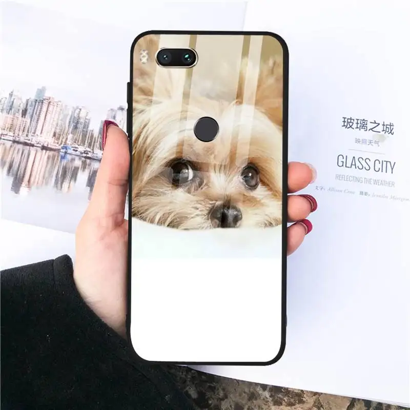 Yorkshire Terrier Phone Case Tempered glass For xiaomi 6 8 lite se MIX2 2S Redmi 4X 5 6 6a note 4 5 6 7
Yorkshire Terrier Phone Case Tempered glass For xiaomi 6 8 lite se MIX2 2S Redmi 4X 5 6 6a note 4 5 6 7