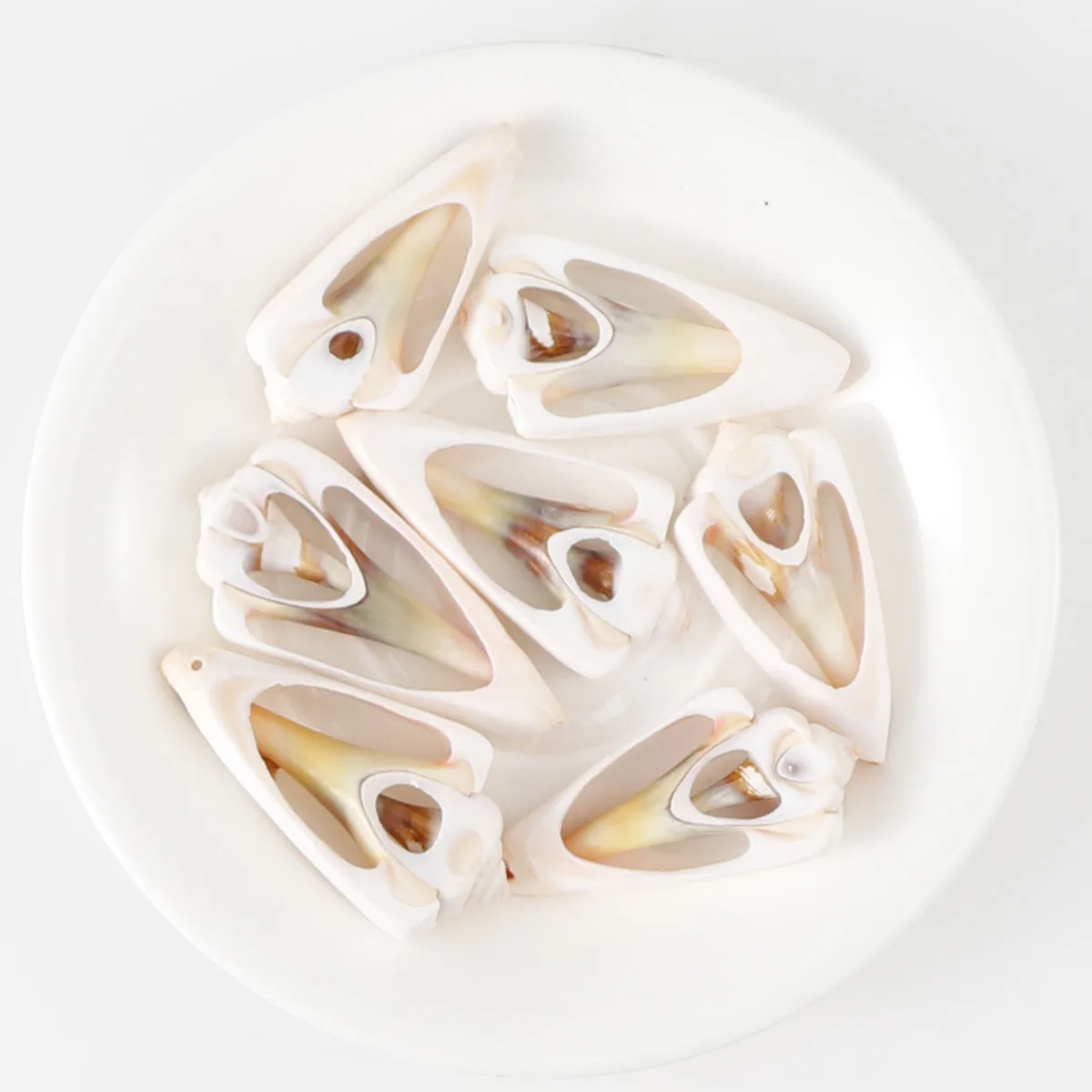 5pcs/Pack of Shell Triangle Brand Pendant Long Necklace Decoration DIY Jewelry Accessories Natural Shell Slices
5pcs/Pack of Shell Triangle Brand Pendant Long Necklace Decoration DIY Jewelry Accessories Natural Shell Slices