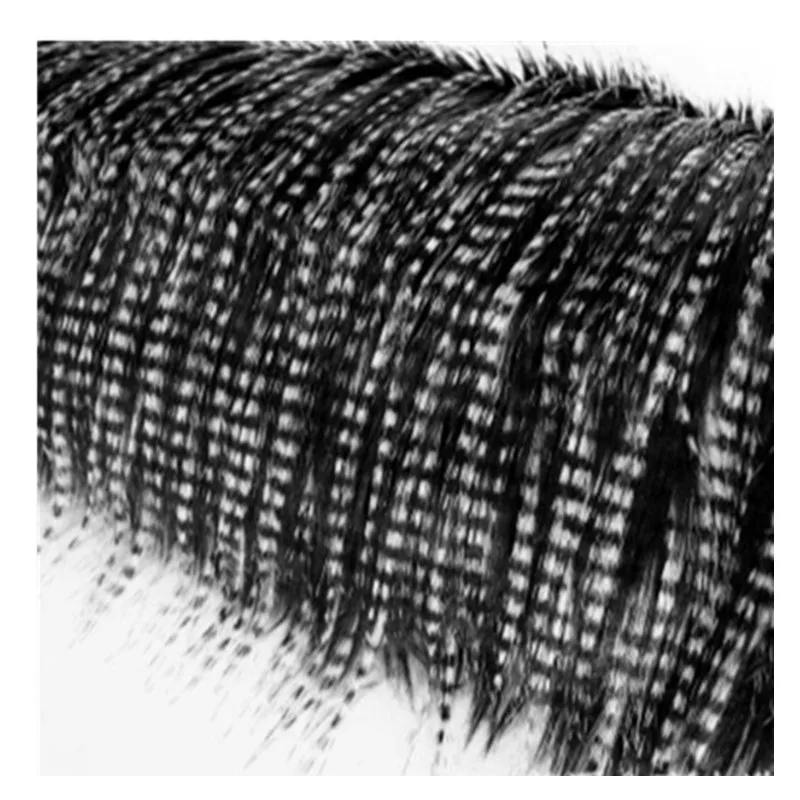160*100cm jacquard peacock hair pheasant faux plush fur fabric for coat pillow case vest Fur collar long plush fur tissu telas
160*100cm jacquard peacock hair pheasant faux plush fur fabric for coat pillow case vest Fur collar long plush fur tissu telas