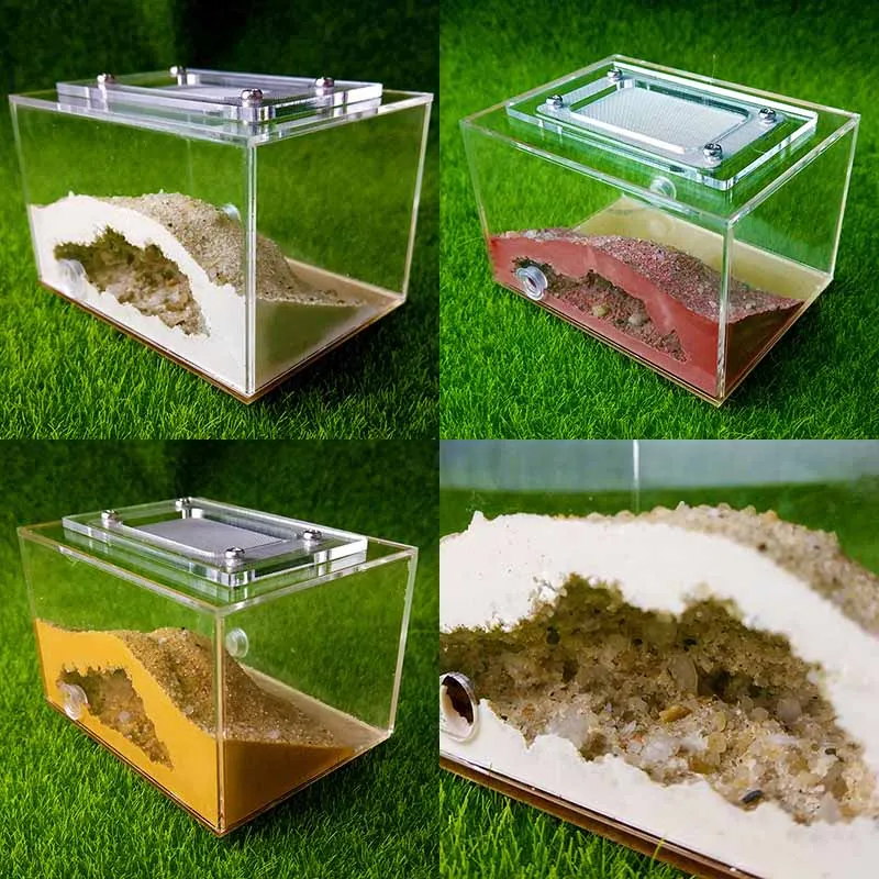 DIY Mini Imitation Ecological Plaster Nest Pet Ant Farm Workshop Home Reptile Terrarium Box
DIY Mini Imitation Ecological Plaster Nest Pet Ant Farm Workshop Home Reptile Terrarium Box