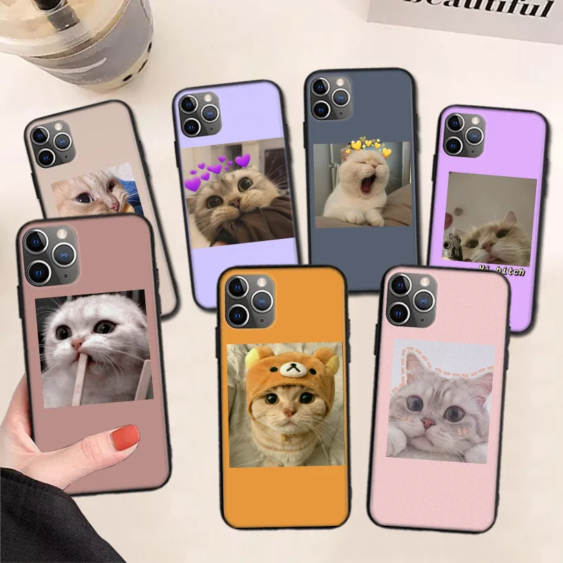 Super Lovely Cat Kitten Cute Funny Black Phone Case For Apple iPhone 11 13 Pro Max 12 Mini X XS XR 7 Plus 6 6S 8 + SE 5S Pattern
Super Lovely Cat Kitten Cute Funny Black Phone Case For Apple iPhone 11 13 Pro Max 12 Mini X XS XR 7 Plus 6 6S 8 + SE 5S Pattern