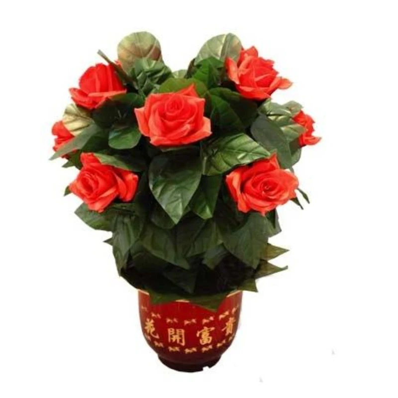Blooming Rose Bush - Remote Control - 10 Flowers - Magic Trick,Flower Magic,close Up Magic,Stage Magia Porps,Toys Classic Magie
Blooming Rose Bush - Remote Control - 10 Flowers - Magic Trick,Flower Magic,close Up Magic,Stage Magia Porps,Toys Classic Magie