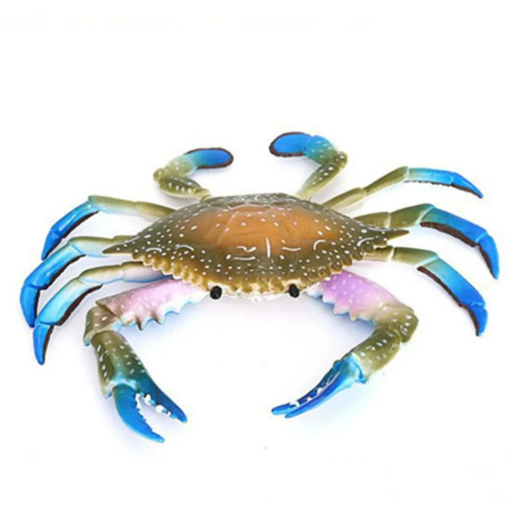 Large Size Kids Toy Crab Realistic Sea Animal Model Plastic Figure Toy Gifts Summer Wash Toy Home Decoration
Large Size Kids Toy Crab Realistic Sea Animal Model Plastic Figure Toy Gifts Summer Wash Toy Home Decoration