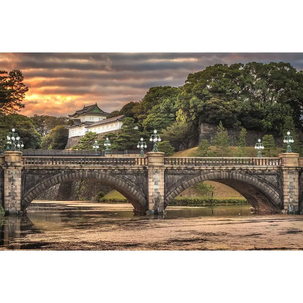 SHENGYONGBAO Vinyl Custom Photography Backdrops scenery Theme Photography Background 200309RD-02
SHENGYONGBAO Vinyl Custom Photography Backdrops scenery Theme Photography Background 200309RD-02