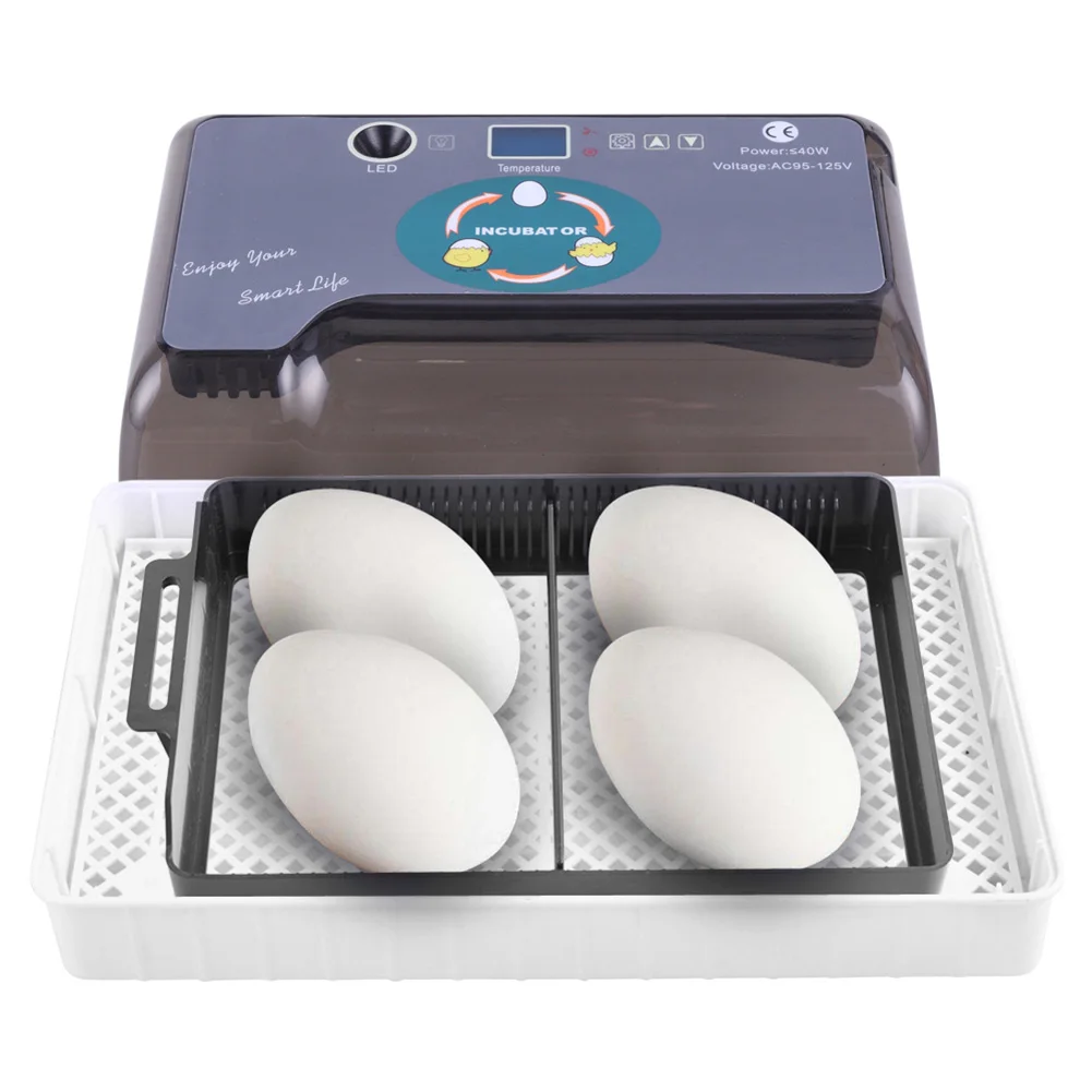 Best Farm Egg Incubator Automatic 4-35 egg Hatchery Machine Newest Temperature Humidity Control Chicken Duck Quail Bird Brooder
Best Farm Egg Incubator Automatic 4-35 egg Hatchery Machine Newest Temperature Humidity Control Chicken Duck Quail Bird Brooder