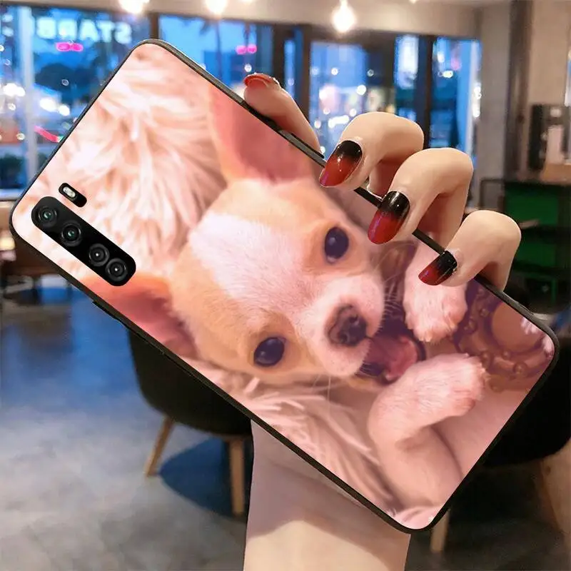 Animal Chihuahua dog Phone Case For Huawei Nova 6se 7 7pro 7se honor 7A 8A 7C 9C Play
Animal Chihuahua dog Phone Case For Huawei Nova 6se 7 7pro 7se honor 7A 8A 7C 9C Play