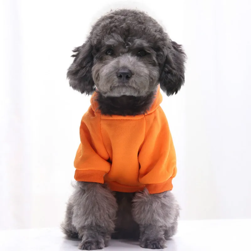 Dog clothes, autumn and winter hoodie pocket two-legged dog clothes, small and medium-sized dog sports style pet clothes jacket
Dog clothes, autumn and winter hoodie pocket two-legged dog clothes, small and medium-sized dog sports style pet clothes jacket