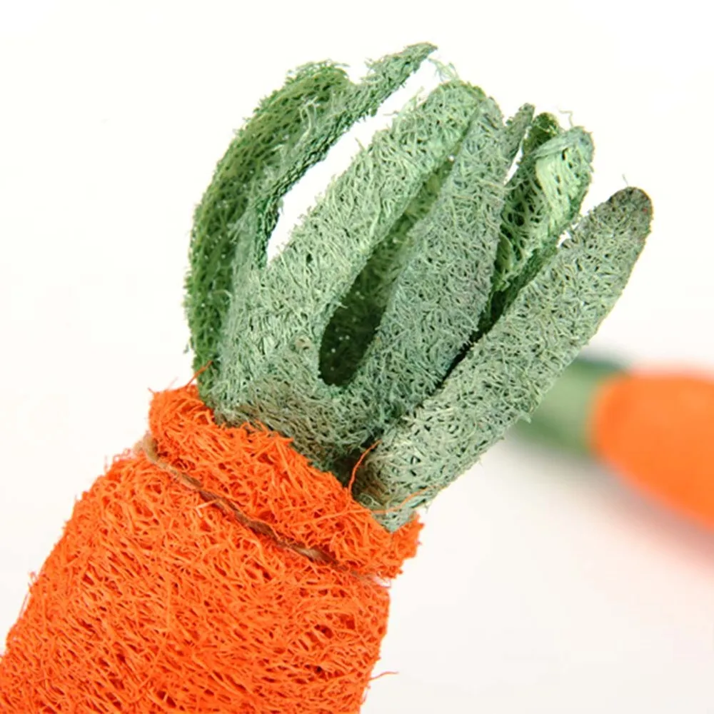 Pet Carrot Dog Molar Chew Creative Carrot Model for Dog Rabbit Cat (Orange)
Pet Carrot Dog Molar Chew Creative Carrot Model for Dog Rabbit Cat (Orange)
