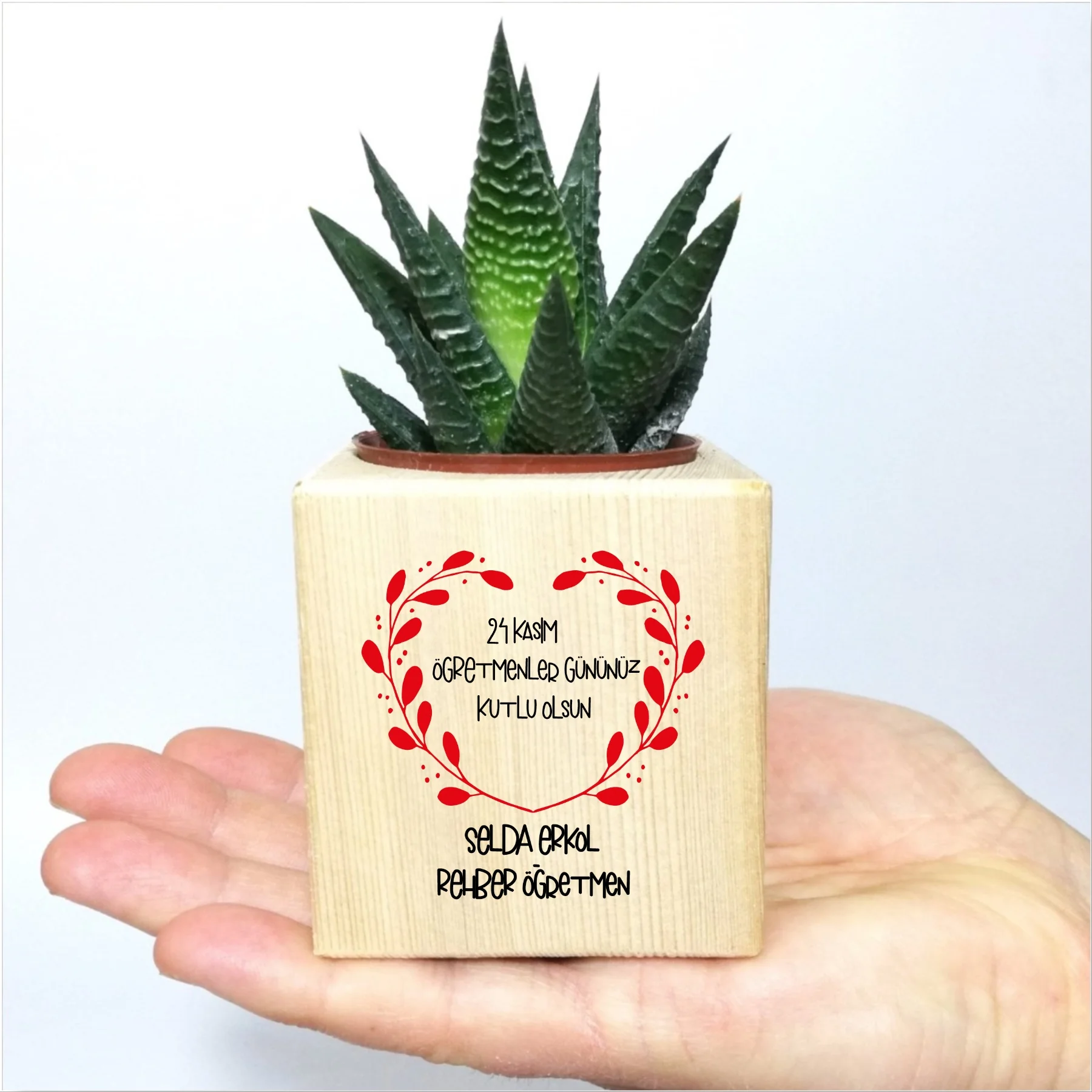 Personalized 24 Nov Themed Sukulent -1 In Pots 
Personalized 24 Nov Themed Sukulent -1 In Pots