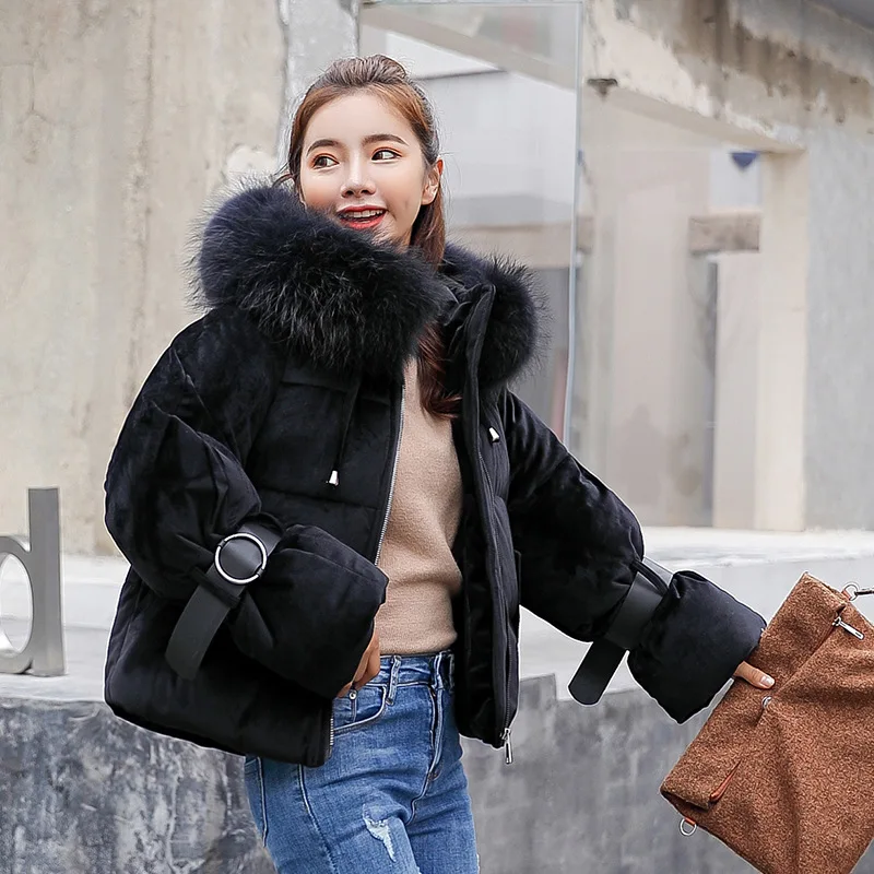 LY VAREY LIN 2020 New Winter Short Cotton Coats Women With Big Fur Collar Hooded Bubble Jackets Korean Style Loose Warm Parkas
LY VAREY LIN 2020 New Winter Short Cotton Coats Women With Big Fur Collar Hooded Bubble Jackets Korean Style Loose Warm Parkas