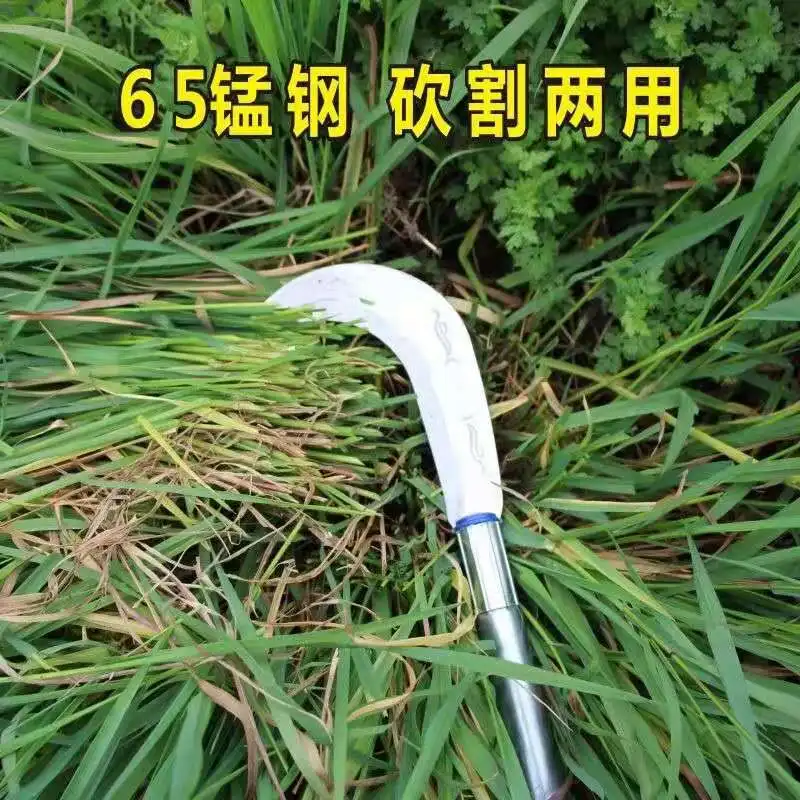 High manganese steel outdoor sickle all steel wood cutting knife cutting grass cutting trees weeding small bend bamboo artefact
High manganese steel outdoor sickle all steel wood cutting knife cutting grass cutting trees weeding small bend bamboo artefact